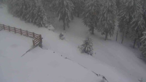 Sporthotel Kurzovní - Přístup na běžeckou trať - 1.4.2026 v 07:15 Sporthotel Kurzovní - Přístup na běžeckou trať - 1.4.2026 v 07:15