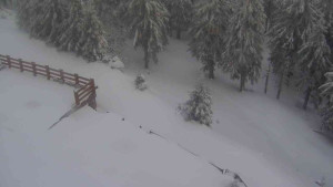 Sporthotel Kurzovní - Přístup na běžeckou trať - 1.4.2026 v 07:20 Sporthotel Kurzovní - Přístup na běžeckou trať - 1.4.2026 v 07:20