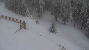 Sporthotel Kurzovní - Přístup na běžeckou trať - 1.4.2026 v 07:25 Sporthotel Kurzovní - Přístup na běžeckou trať - 1.4.2026 v 07:25