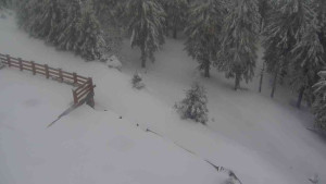 Sporthotel Kurzovní - Přístup na běžeckou trať - 1.4.2026 v 07:30 Sporthotel Kurzovní - Přístup na běžeckou trať - 1.4.2026 v 07:30