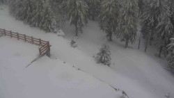 Přístup na běžeckou trať