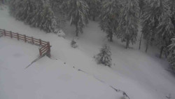 Přístup na běžeckou trať