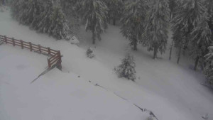 Sporthotel Kurzovní - Přístup na běžeckou trať - 1.4.2026 v 07:45 Sporthotel Kurzovní - Přístup na běžeckou trať - 1.4.2026 v 07:45