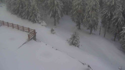 Přístup na běžeckou trať