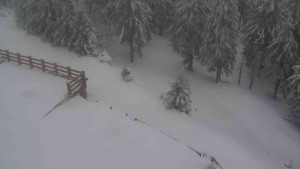 Sporthotel Kurzovní - Přístup na běžeckou trať - 1.4.2026 v 08:00 Sporthotel Kurzovní - Přístup na běžeckou trať - 1.4.2026 v 08:00