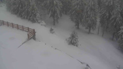 Přístup na běžeckou trať