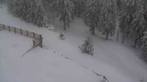 Sporthotel Kurzovní - Přístup na běžeckou trať - 1.4.2026 v 08:20 Sporthotel Kurzovní - Přístup na běžeckou trať - 1.4.2026 v 08:20