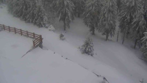 Sporthotel Kurzovní - Přístup na běžeckou trať - 1.4.2026 v 08:25 Sporthotel Kurzovní - Přístup na běžeckou trať - 1.4.2026 v 08:25