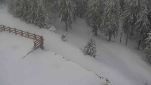 Sporthotel Kurzovní - Přístup na běžeckou trať - 1.4.2026 v 08:30 Sporthotel Kurzovní - Přístup na běžeckou trať - 1.4.2026 v 08:30