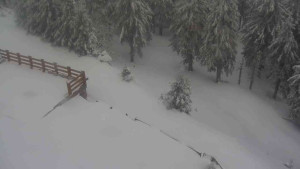 Sporthotel Kurzovní - Přístup na běžeckou trať - 1.4.2026 v 08:35 Sporthotel Kurzovní - Přístup na běžeckou trať - 1.4.2026 v 08:35