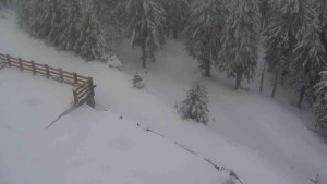 Sporthotel Kurzovní - Přístup na běžeckou trať - 1.4.2026 v 08:45 Sporthotel Kurzovní - Přístup na běžeckou trať - 1.4.2026 v 08:45