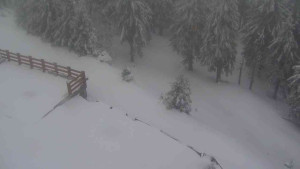 Sporthotel Kurzovní - Přístup na běžeckou trať - 1.4.2026 v 08:50 Sporthotel Kurzovní - Přístup na běžeckou trať - 1.4.2026 v 08:50