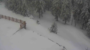 Sporthotel Kurzovní - Přístup na běžeckou trať - 1.4.2026 v 09:25 Sporthotel Kurzovní - Přístup na běžeckou trať - 1.4.2026 v 09:25