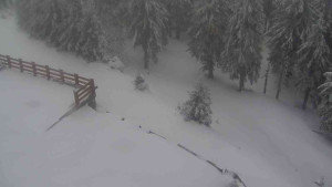 Sporthotel Kurzovní - Přístup na běžeckou trať - 1.4.2026 v 09:30 Sporthotel Kurzovní - Přístup na běžeckou trať - 1.4.2026 v 09:30