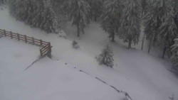 Přístup na běžeckou trať