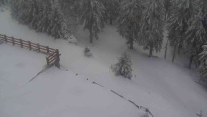 Sporthotel Kurzovní - Přístup na běžeckou trať - 1.4.2026 v 09:40 Sporthotel Kurzovní - Přístup na běžeckou trať - 1.4.2026 v 09:40