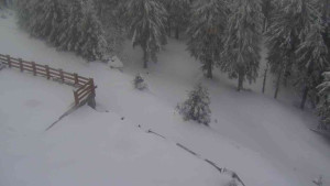 Sporthotel Kurzovní - Přístup na běžeckou trať - 1.4.2026 v 09:45 Sporthotel Kurzovní - Přístup na běžeckou trať - 1.4.2026 v 09:45