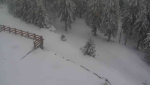 Sporthotel Kurzovní - Přístup na běžeckou trať - 1.4.2026 v 09:50 Sporthotel Kurzovní - Přístup na běžeckou trať - 1.4.2026 v 09:50