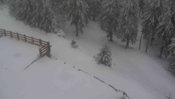 Přístup na běžeckou trať