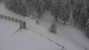 Sporthotel Kurzovní - Přístup na běžeckou trať - 1.4.2026 v 10:10 Sporthotel Kurzovní - Přístup na běžeckou trať - 1.4.2026 v 10:10