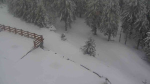 Sporthotel Kurzovní - Přístup na běžeckou trať - 1.4.2026 v 10:25 Sporthotel Kurzovní - Přístup na běžeckou trať - 1.4.2026 v 10:25