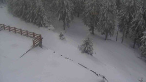 Sporthotel Kurzovní - Přístup na běžeckou trať - 1.4.2026 v 10:30 Sporthotel Kurzovní - Přístup na běžeckou trať - 1.4.2026 v 10:30