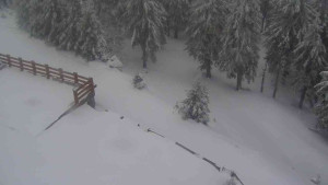 Sporthotel Kurzovní - Přístup na běžeckou trať - 1.4.2026 v 10:35 Sporthotel Kurzovní - Přístup na běžeckou trať - 1.4.2026 v 10:35