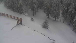 Sporthotel Kurzovní - Přístup na běžeckou trať - 1.4.2026 v 10:40 Sporthotel Kurzovní - Přístup na běžeckou trať - 1.4.2026 v 10:40