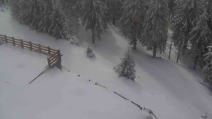 Sporthotel Kurzovní - Přístup na běžeckou trať - 1.4.2026 v 11:05 Sporthotel Kurzovní - Přístup na běžeckou trať - 1.4.2026 v 11:05