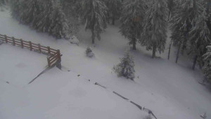 Sporthotel Kurzovní - Přístup na běžeckou trať - 1.4.2026 v 11:20 Sporthotel Kurzovní - Přístup na běžeckou trať - 1.4.2026 v 11:20