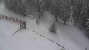 Sporthotel Kurzovní - Přístup na běžeckou trať - 1.4.2026 v 11:30 Sporthotel Kurzovní - Přístup na běžeckou trať - 1.4.2026 v 11:30