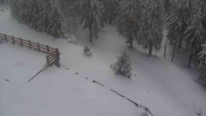 Sporthotel Kurzovní - Přístup na běžeckou trať - 1.4.2026 v 11:35 Sporthotel Kurzovní - Přístup na běžeckou trať - 1.4.2026 v 11:35