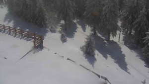 Sporthotel Kurzovní - Přístup na běžeckou trať - 1.4.2026 v 11:45 Sporthotel Kurzovní - Přístup na běžeckou trať - 1.4.2026 v 11:45