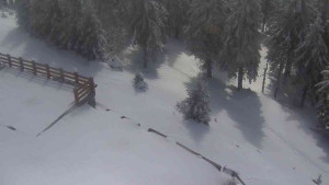 Sporthotel Kurzovní - Přístup na běžeckou trať - 1.4.2026 v 12:10 Sporthotel Kurzovní - Přístup na běžeckou trať - 1.4.2026 v 12:10