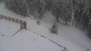 Sporthotel Kurzovní - Přístup na běžeckou trať - 1.4.2026 v 12:20 Sporthotel Kurzovní - Přístup na běžeckou trať - 1.4.2026 v 12:20