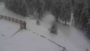 Sporthotel Kurzovní - Přístup na běžeckou trať - 1.4.2026 v 12:25 Sporthotel Kurzovní - Přístup na běžeckou trať - 1.4.2026 v 12:25