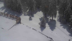 Přístup na běžeckou trať