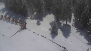 Sporthotel Kurzovní - Přístup na běžeckou trať - 1.4.2026 v 12:30 Sporthotel Kurzovní - Přístup na běžeckou trať - 1.4.2026 v 12:30