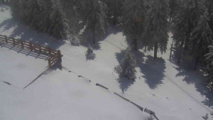 Sporthotel Kurzovní - Přístup na běžeckou trať - 1.4.2026 v 12:35 Sporthotel Kurzovní - Přístup na běžeckou trať - 1.4.2026 v 12:35