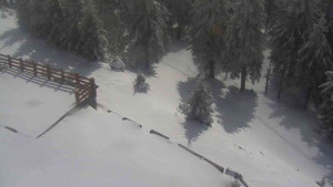 Sporthotel Kurzovní - Přístup na běžeckou trať - 1.4.2026 v 12:45 Sporthotel Kurzovní - Přístup na běžeckou trať - 1.4.2026 v 12:45