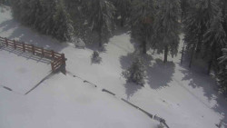 Přístup na běžeckou trať