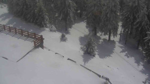 Sporthotel Kurzovní - Přístup na běžeckou trať - 1.4.2026 v 12:50 Sporthotel Kurzovní - Přístup na běžeckou trať - 1.4.2026 v 12:50