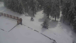 Přístup na běžeckou trať