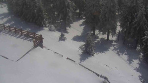 Sporthotel Kurzovní - Přístup na běžeckou trať - 1.4.2026 v 13:15 Sporthotel Kurzovní - Přístup na běžeckou trať - 1.4.2026 v 13:15