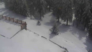 Sporthotel Kurzovní - Přístup na běžeckou trať - 1.4.2026 v 13:20 Sporthotel Kurzovní - Přístup na běžeckou trať - 1.4.2026 v 13:20