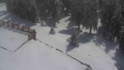 Přístup na běžeckou trať