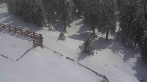 Sporthotel Kurzovní - Přístup na běžeckou trať - 1.4.2026 v 13:30 Sporthotel Kurzovní - Přístup na běžeckou trať - 1.4.2026 v 13:30