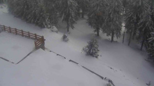 Sporthotel Kurzovní - Přístup na běžeckou trať - 1.4.2026 v 13:45 Sporthotel Kurzovní - Přístup na běžeckou trať - 1.4.2026 v 13:45