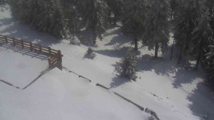 Sporthotel Kurzovní - Přístup na běžeckou trať - 1.4.2026 v 13:50 Sporthotel Kurzovní - Přístup na běžeckou trať - 1.4.2026 v 13:50