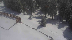 Přístup na běžeckou trať